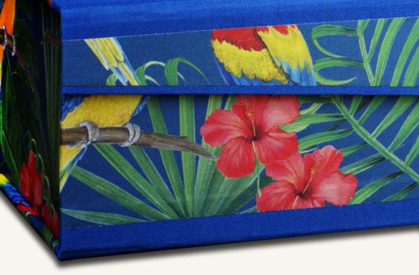 Colorful folder parrots, colorful, extra stable